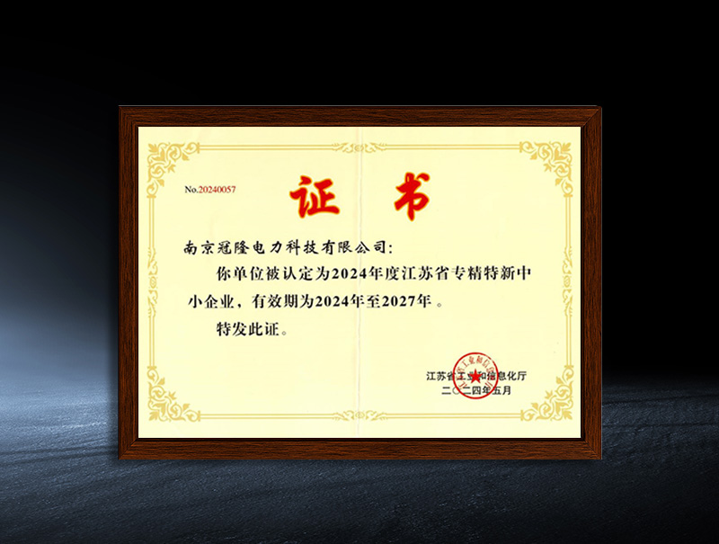 2024 Certificate of Speciality and Speciality New Enterprise