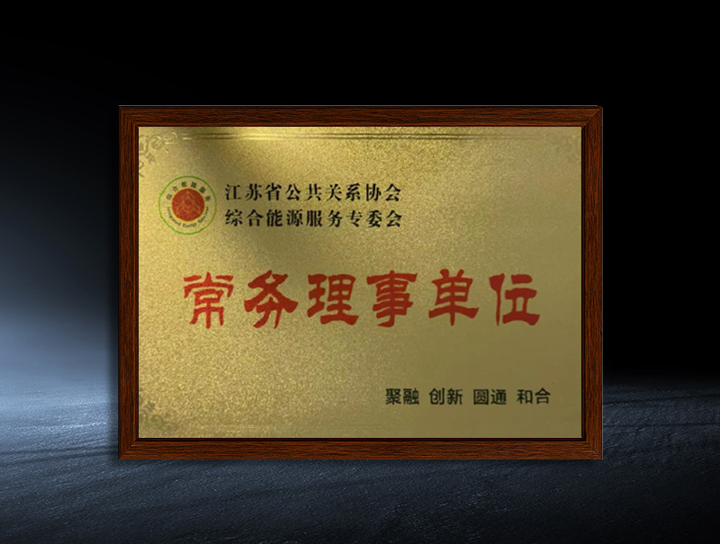 Executive Director Unit of Integrated Energy Services Specialised Committee of Jiangsu Public Relations Association