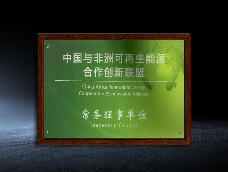 Executive Director Unit of China-Africa Renewable Energy Co-operation and Innovation Alliance