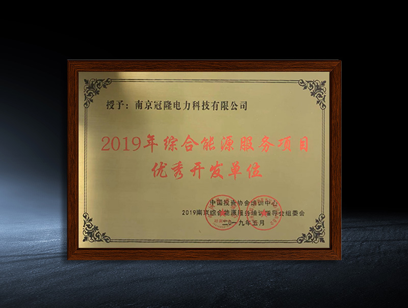 2019 Outstanding Developer of Integrated Energy Services Projects