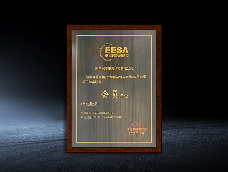 2021 Energy Storage Leaders Alliance Member Unit