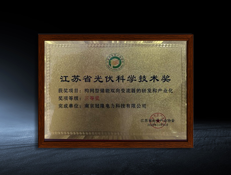 Jiangsu Province Photovoltaic Science and Technology Award 2024