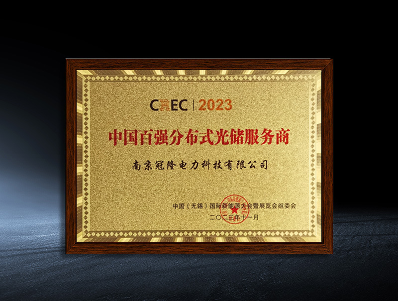 Top 100 Distributed Photovoltaic Storage Service Providers in China in 2023