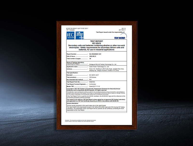 LEB-5300-L1/L2/L3/L4 - Safety Regulations Certificate Report