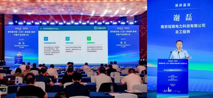 南京冠隆电力科技有限公司
