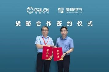 南京冠隆电力科技有限公司