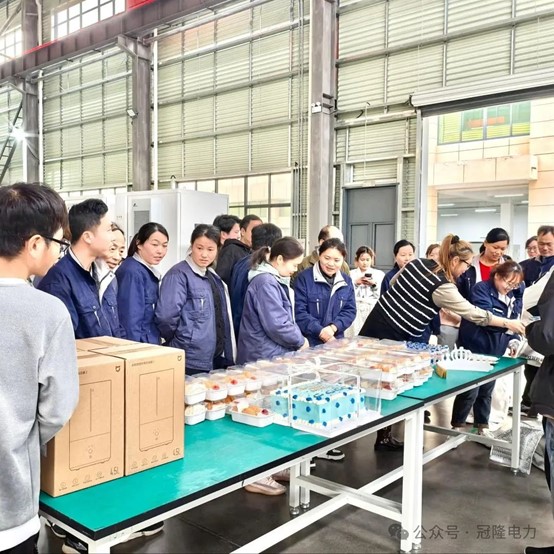 南京冠隆电力科技有限公司