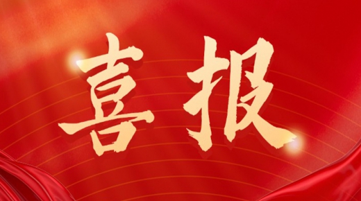 喜报 - 冠隆电力15MW/30MWh非洲微电网项目顺利交付