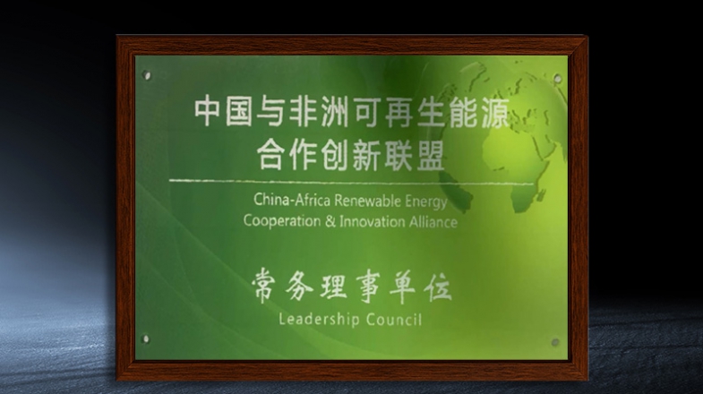 Executive Director Unit of China-Africa Renewable Energy Co-operation and Innovation Alliance