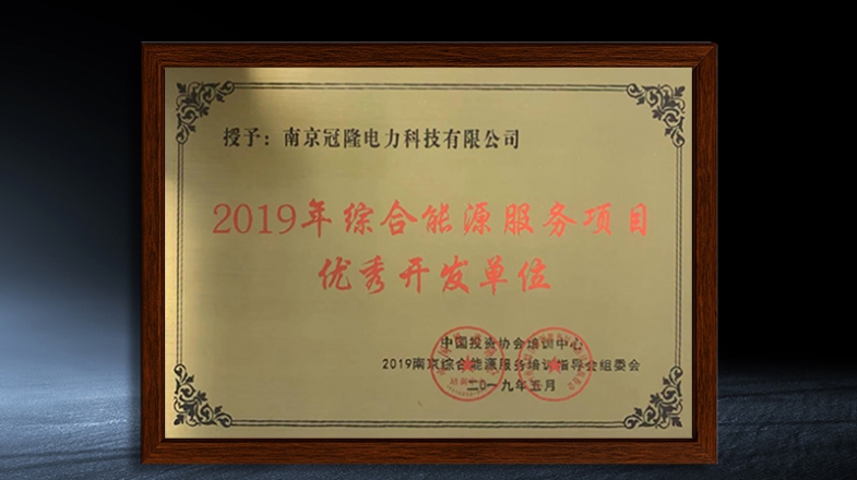 2019 Outstanding Developer of Integrated Energy Services Projects